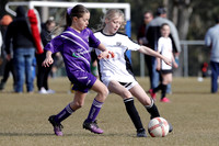 Mini Roos 10 Girls - Maitland JFC v Lochinvar Rovers