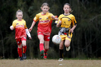Greta Branxton 10G/01 v Gresford Vacy 10G/01